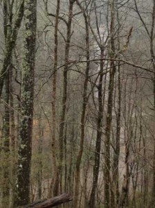 Little River, April 15, pays its Erosion Tax.