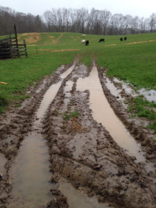 mud ruts 480
